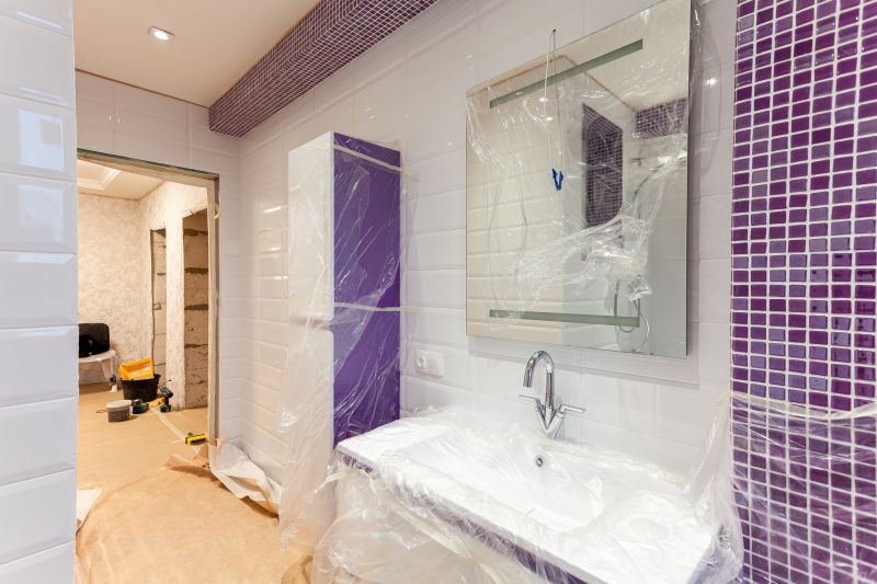 Bathroom Conversion Service in Sarasota, FL