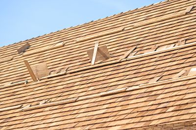 Roofing Professionals